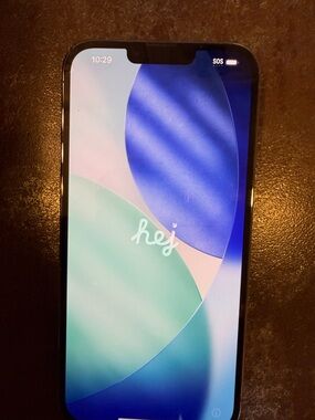 Apple iPhone 13 Pro Max